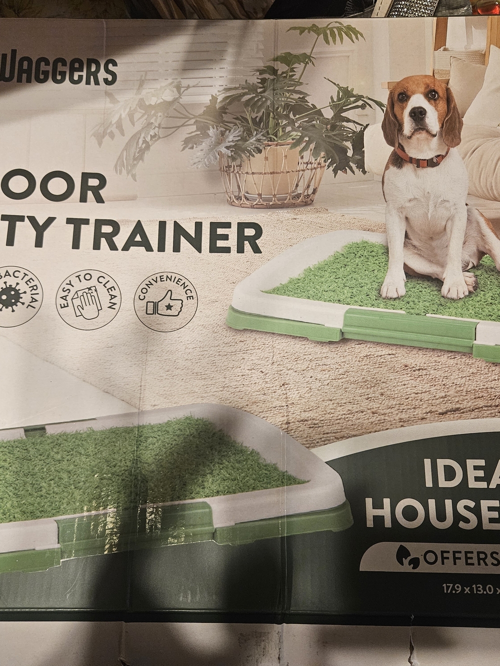 Indoor Potty Trainer - Green